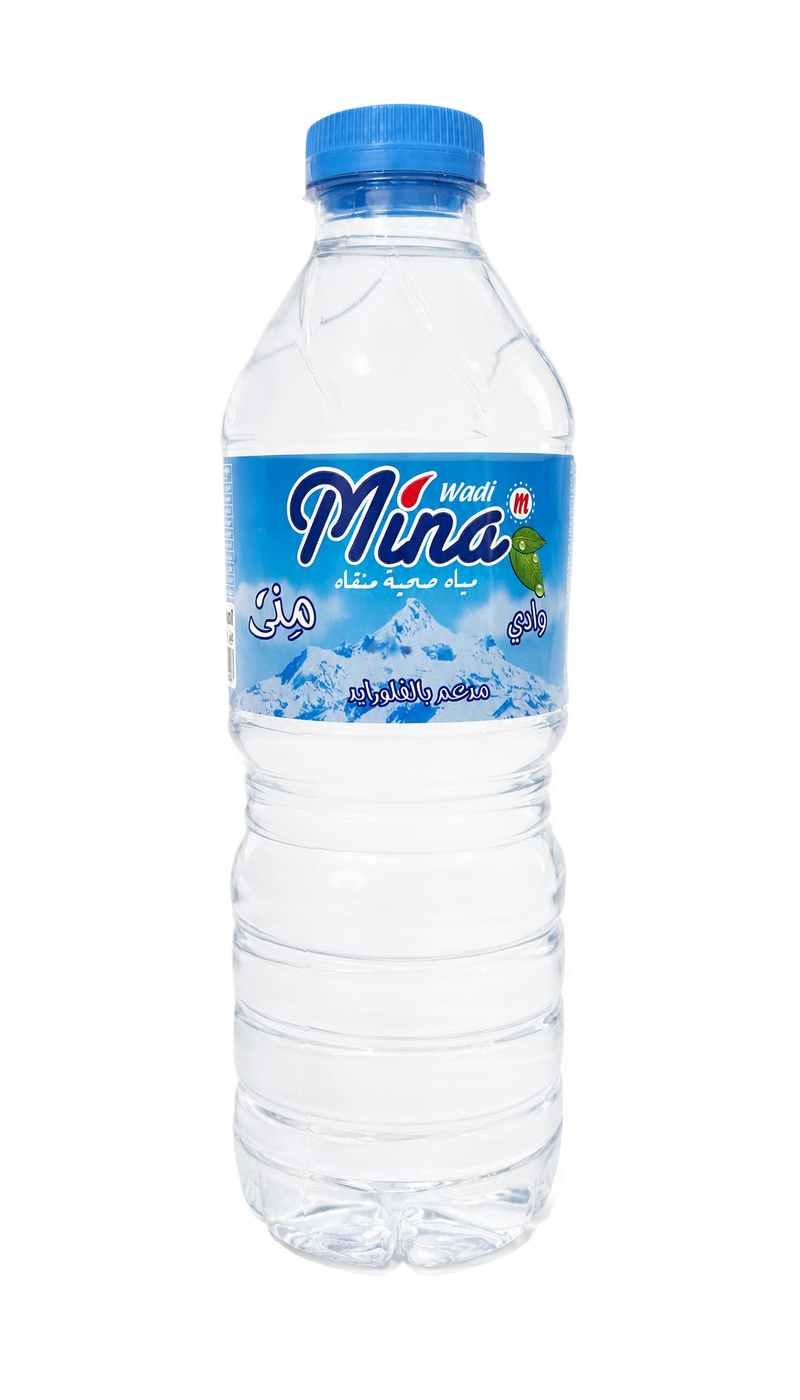 Mina 500 ml bottled-water product, front view