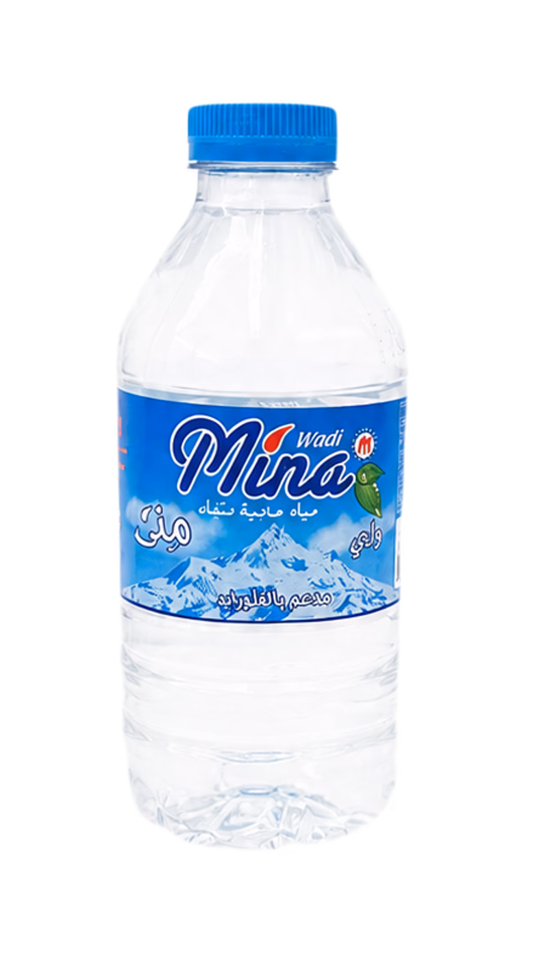 Mina 330 ml water bottle.